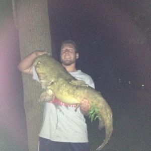 Meet your Posher, Adam